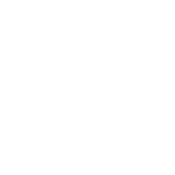 A company holding extensive experience