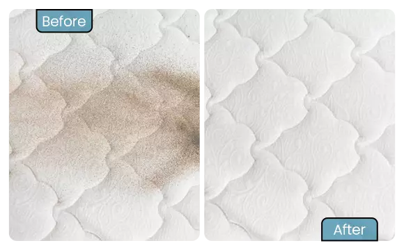 Glimpse Of Our Fine Mattress Cleaning